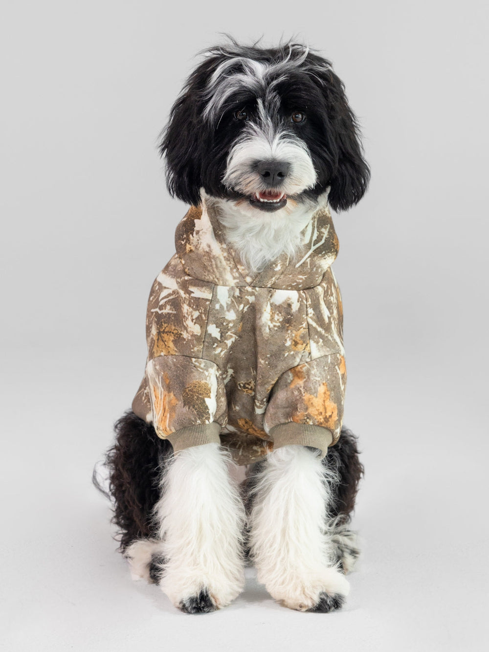 Camo Paw Hoodie