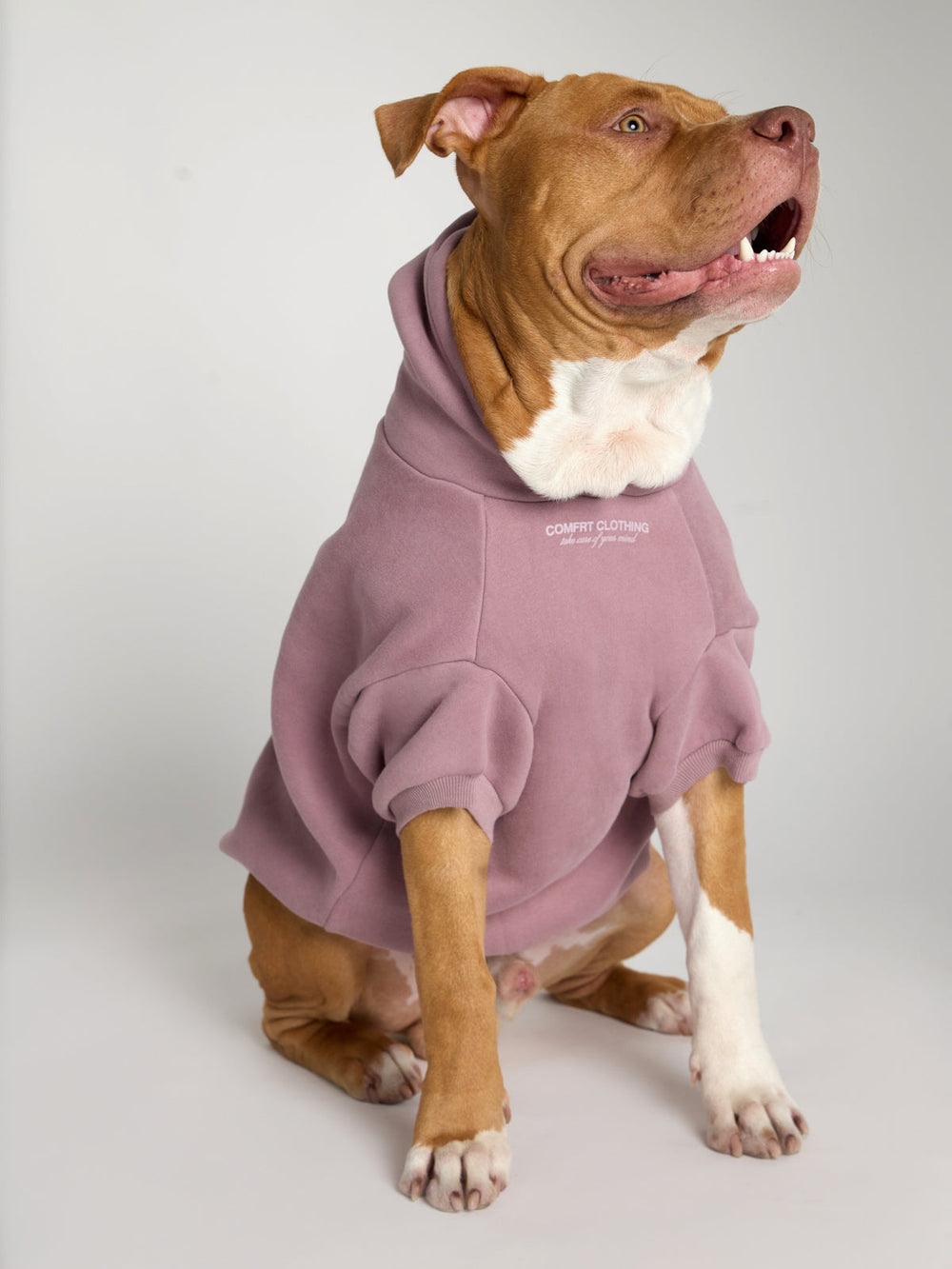 You Matter Paw Hoodie