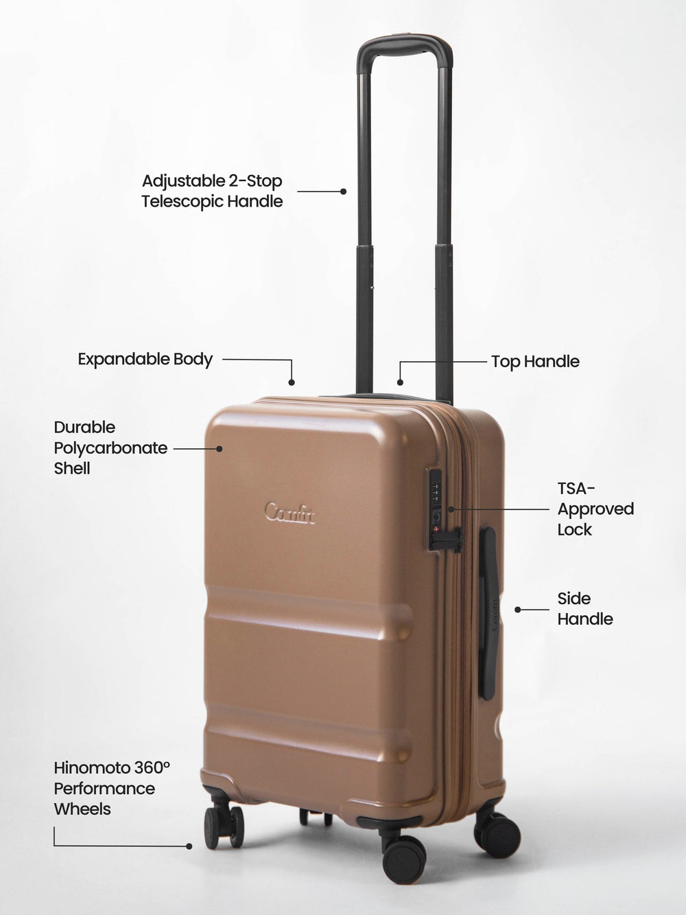Carry-On Companion Luggage