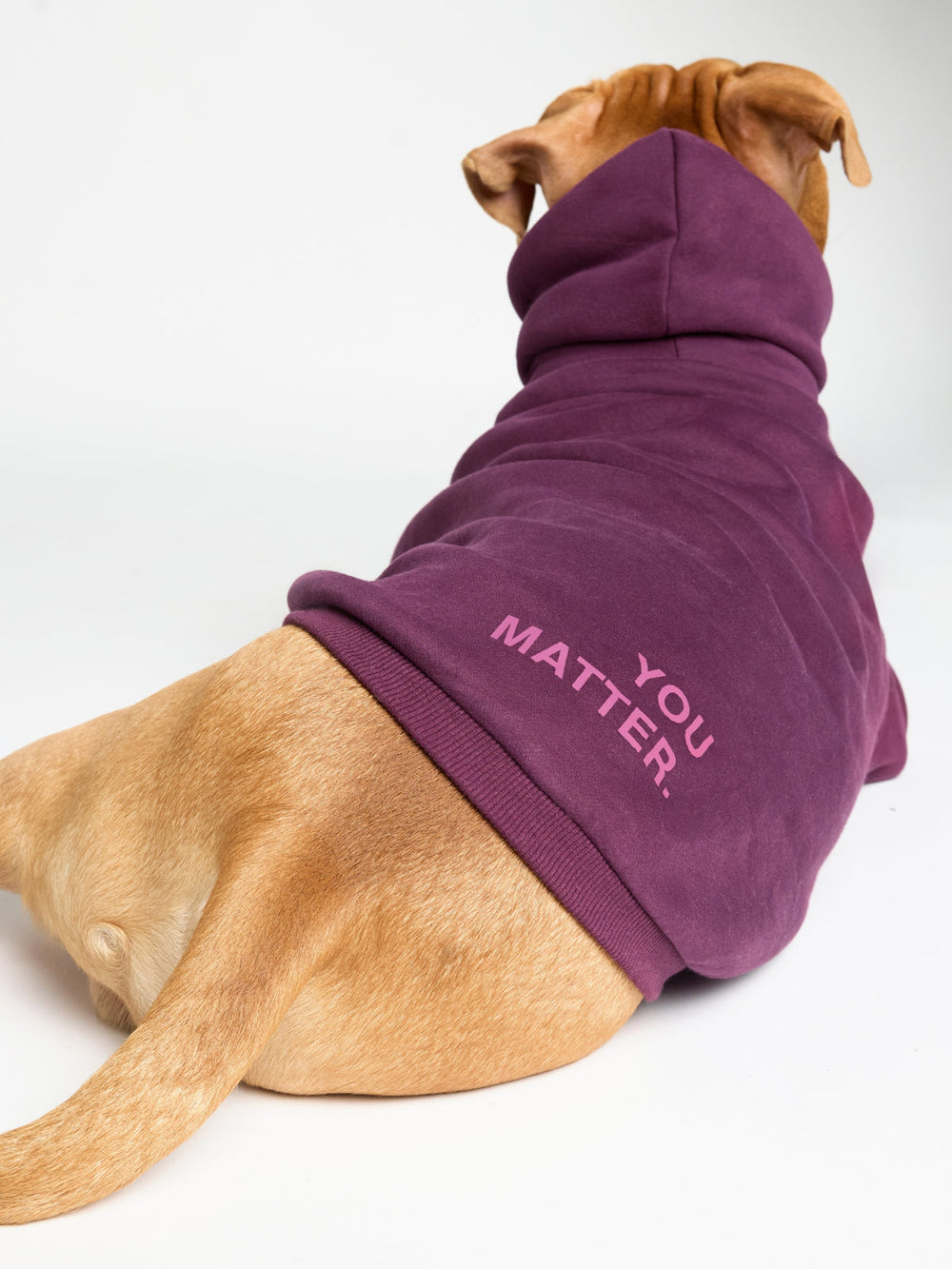 You Matter Paw Hoodie