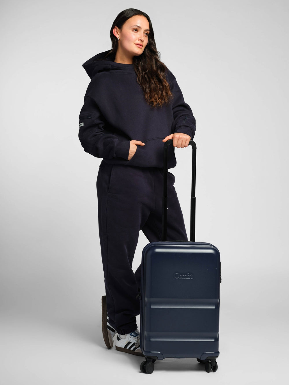 Carry-On Companion Luggage