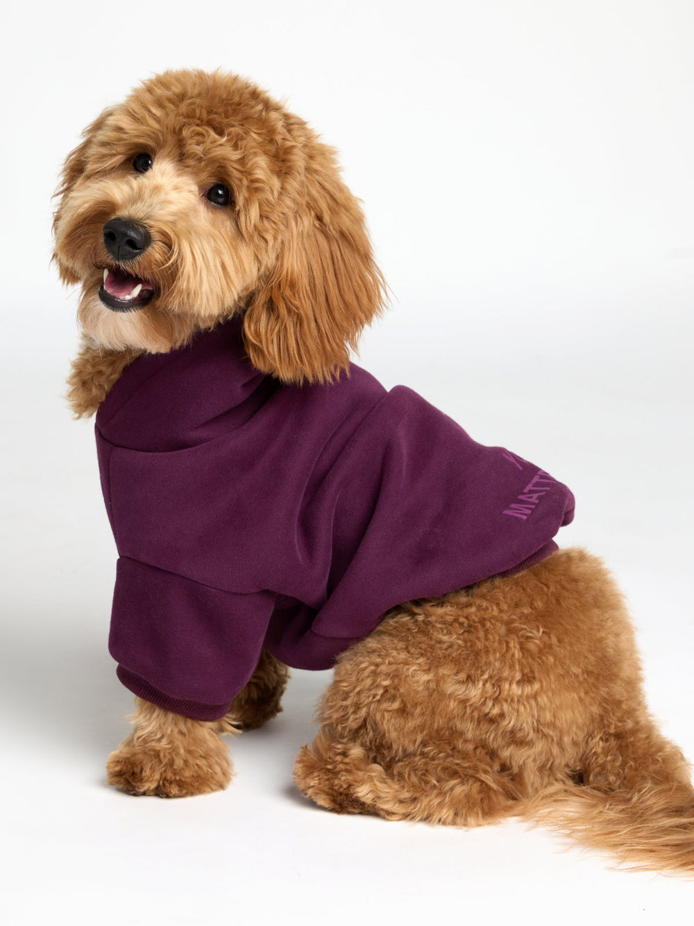 You Matter Paw Hoodie