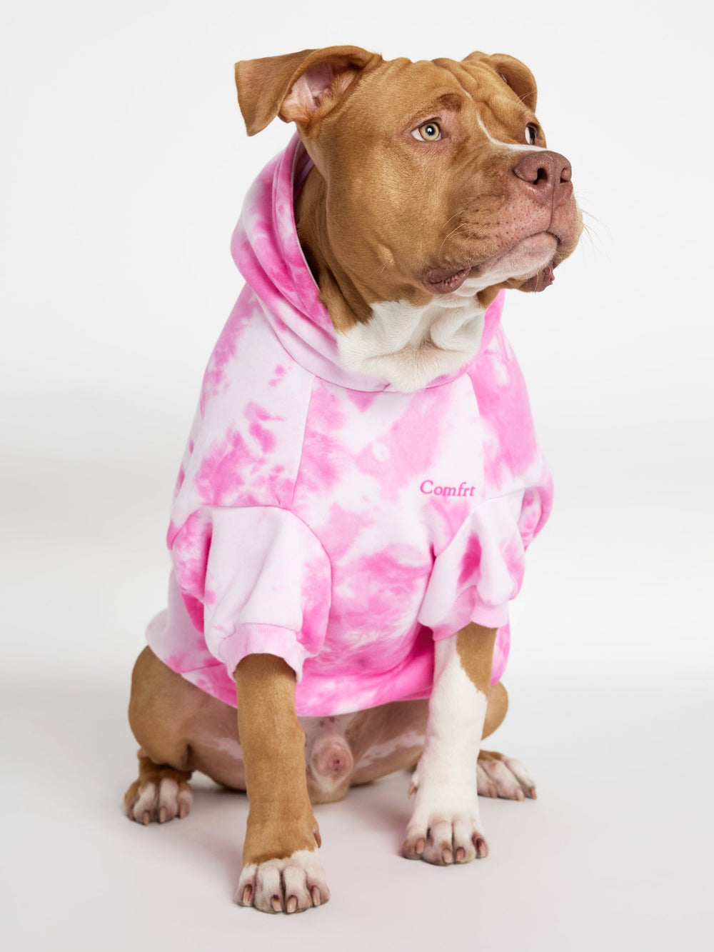 Minimalist Paw Hoodie