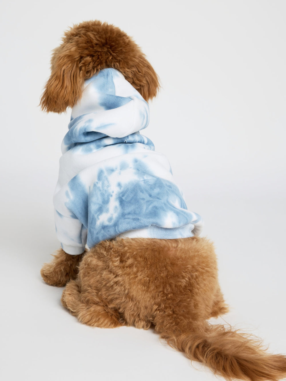 Minimalist Paw Hoodie