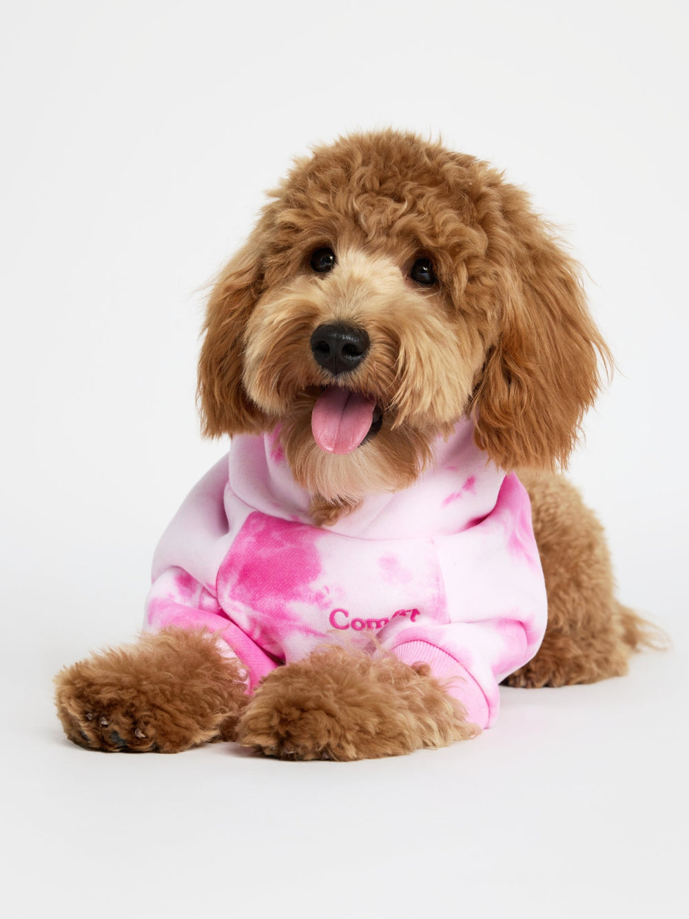 Minimalist Paw Hoodie