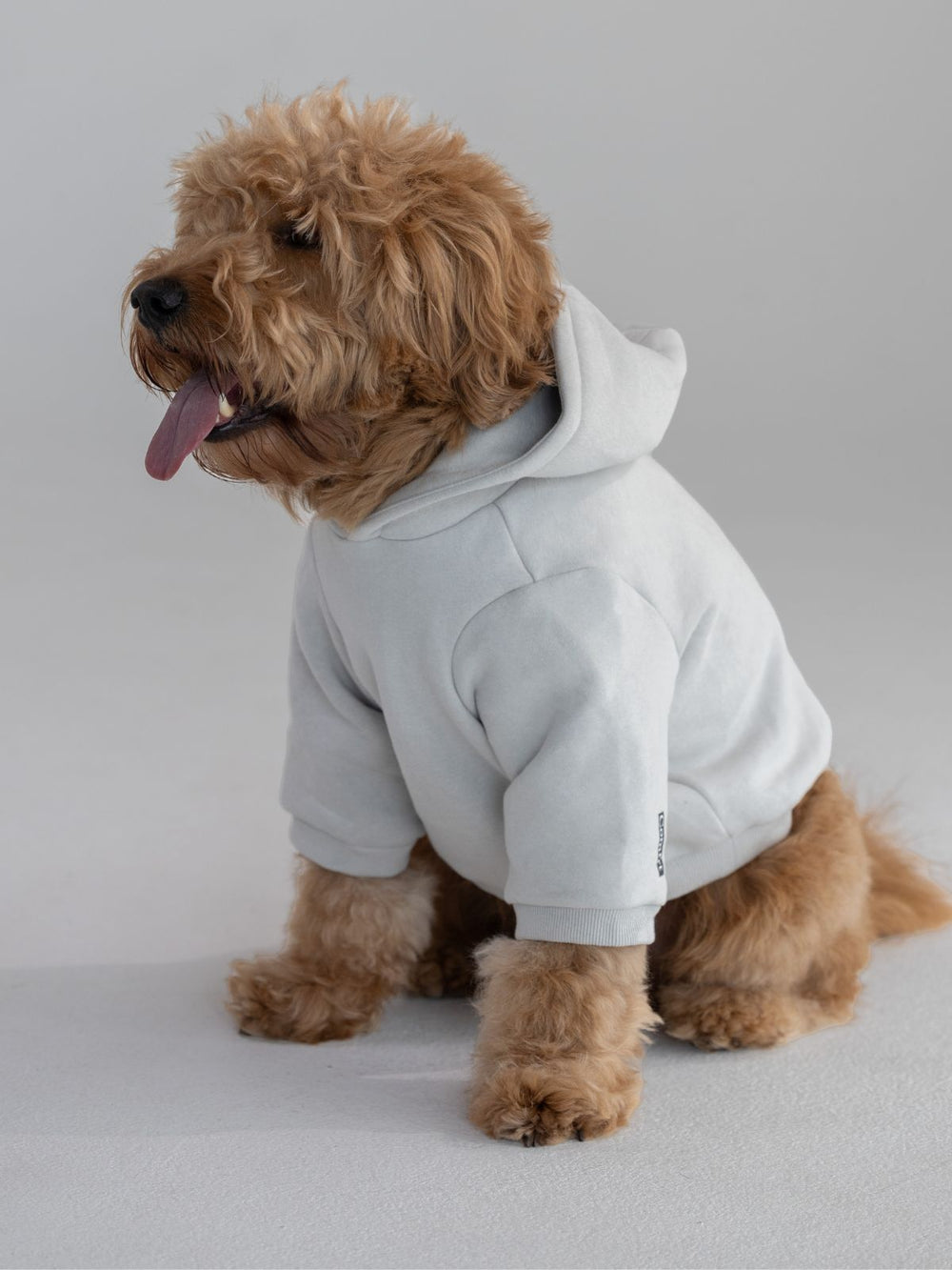 Standard Paw Hoodie