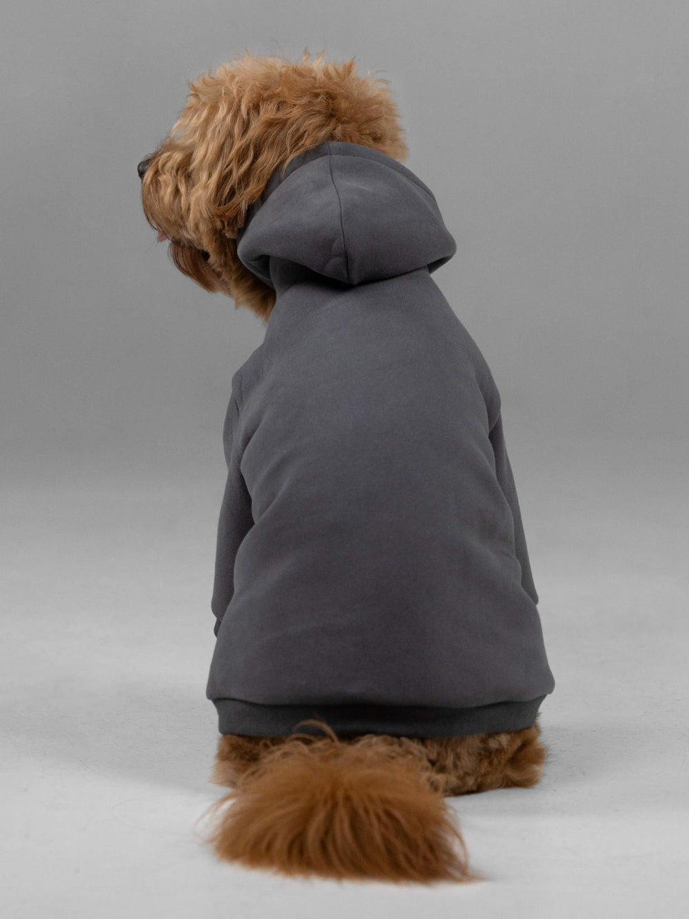 Signature Paw Hoodie